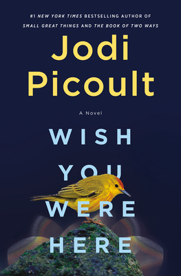 wish-you-were-here-by-jodi-picoult-book-summary